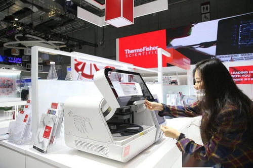 進博會首發(fā) 引領未來的網絡技術服務，如何重塑我們的生活圖景